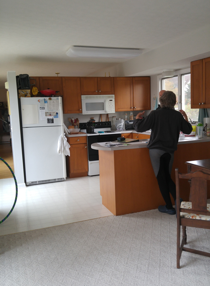 Kitchen remodel before