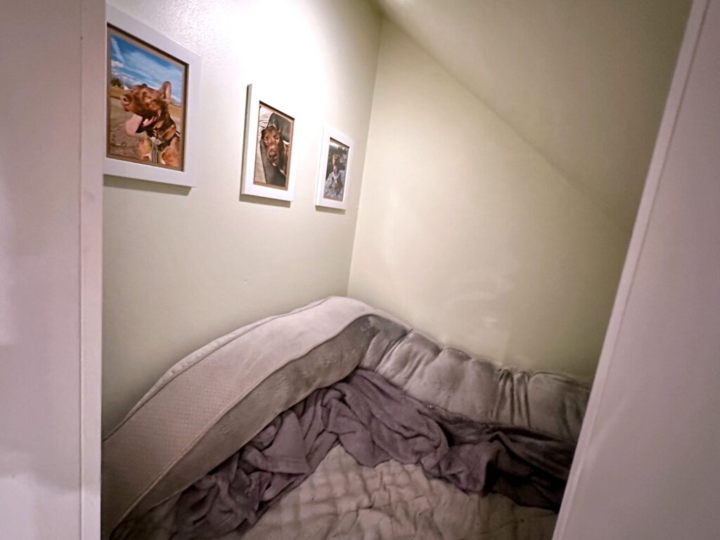 Dog bed 